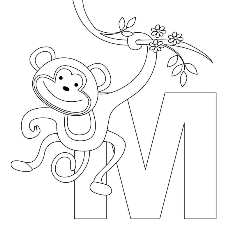 Macacos