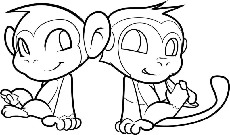 Macacos