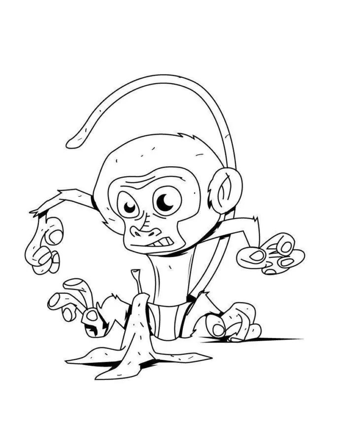 Macacos