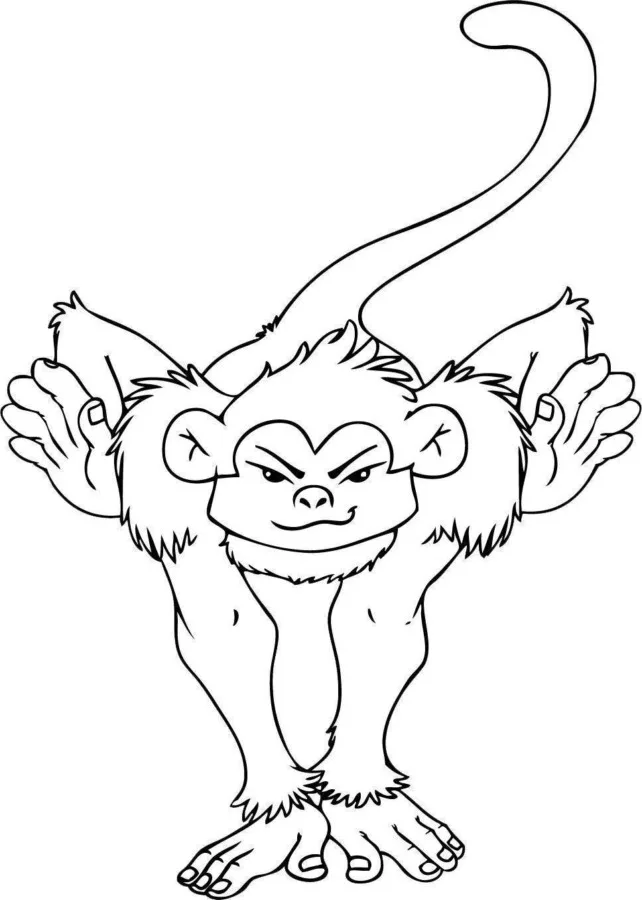 Macacos