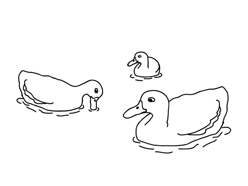 Patinhos