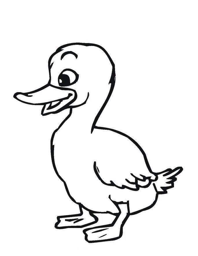 Patinhos