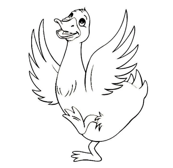 Patinhos