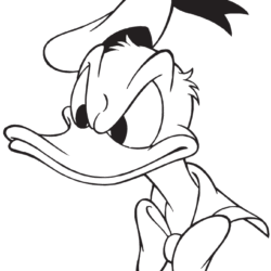 Desenhos do Pato Donald para colorir - Bora Colorir