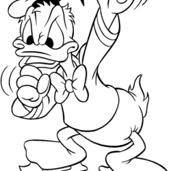 Pato Donald