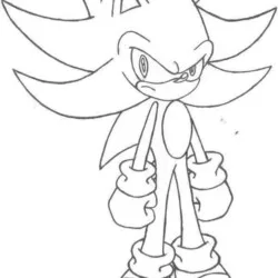 Sonic para imprimir e colorir