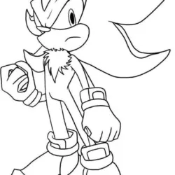 Sonic para imprimir e colorir