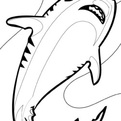 Tubarões