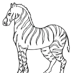 Zebras para imprimir e colorir