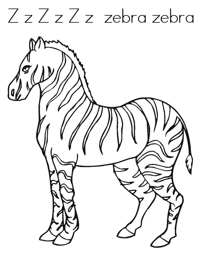 Zebras