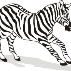 Zebras para imprimir e colorir