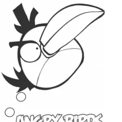 Angry Birds para imprimir e colorir