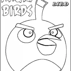 Angry Birds para imprimir e colorir