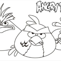 Angry Birds