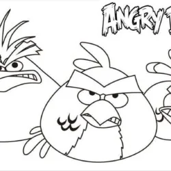 Angry Birds para imprimir e colorir