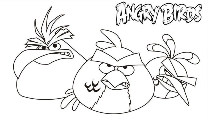 desenho-angry-birds-imprimir-17-800x459.jpg