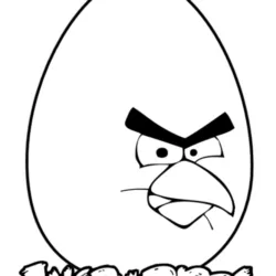 Angry Birds para imprimir e colorir