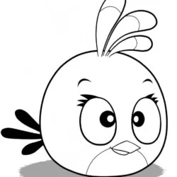 Angry Birds para imprimir e colorir