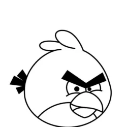 Angry Birds para imprimir e colorir