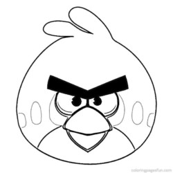 Desenhos do Angry Birds para Imprimir e Colorir