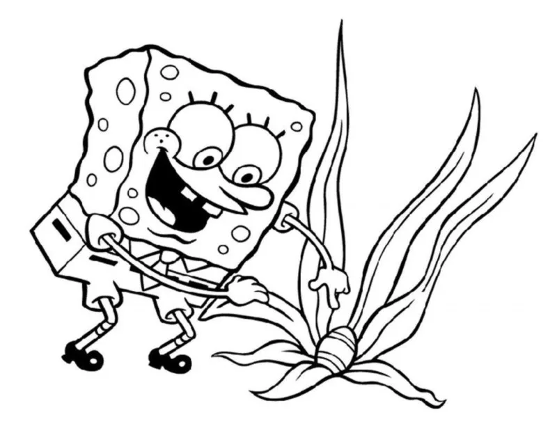 Bob Esponja