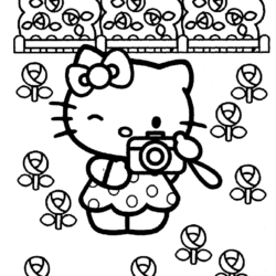 Desenho de Hello Kitty para colorir