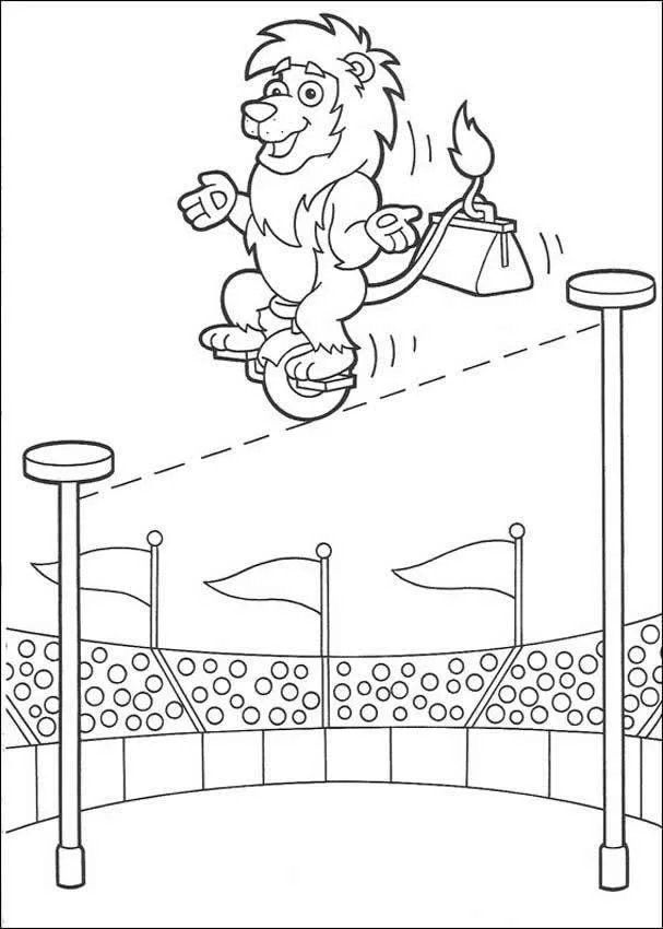 Circo