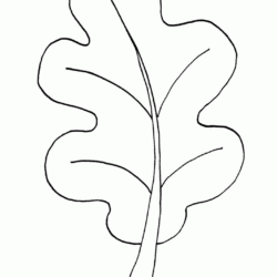 Desenhos para Adulto Colorir - Folhas Soltas Sulfite Grande com 10