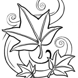 Desenhos para colorir de desenho de uma flor com três folhas para colorir  