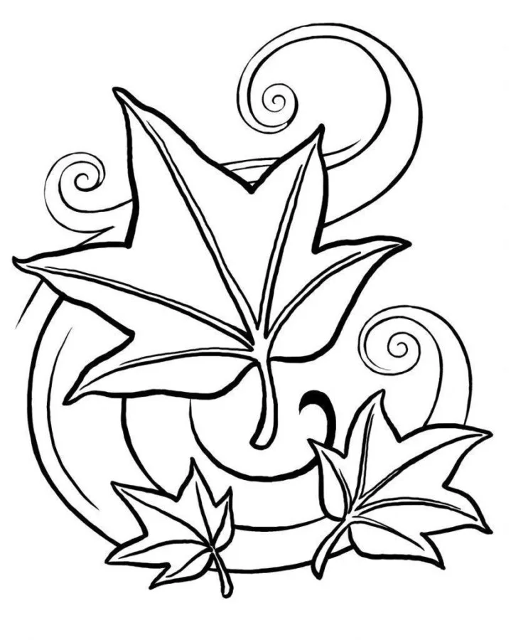Folhas