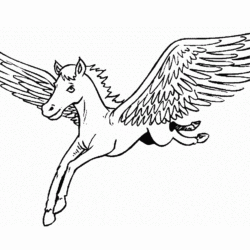 Pegasus