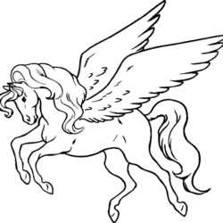 Pegasus