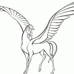 Pegasus