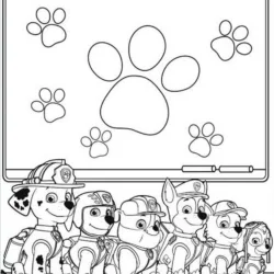 Patrulha Canina para imprimir e colorir