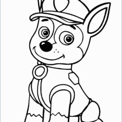 Patrulha Canina Desenhos para Colorir