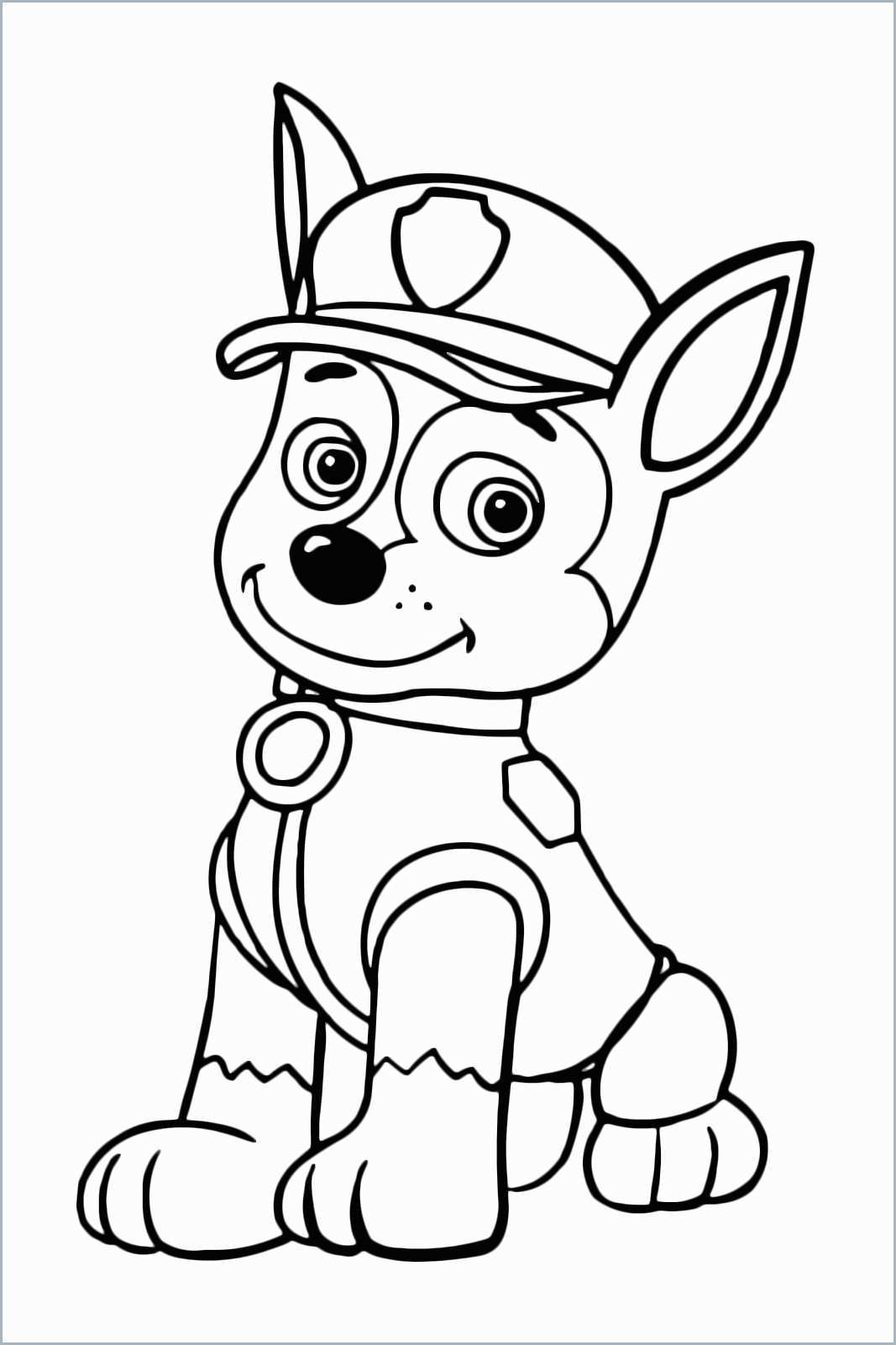 patrulha canina desenho para colorir