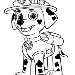 Patrulha Canina para imprimir e colorir
