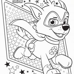 Patrulha Canina