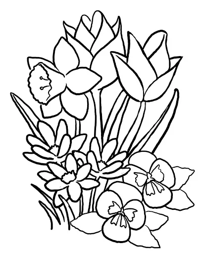 Flores