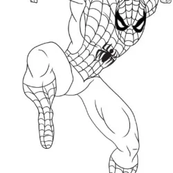 Homem-Aranha 02 para imprimir e colorir