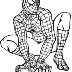 ▷ Desenhos de Homem Aranha para colorir