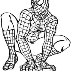 Homem-Aranha 08 para imprimir e colorir
