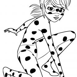 Ladybug