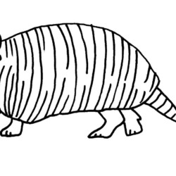 Tatu