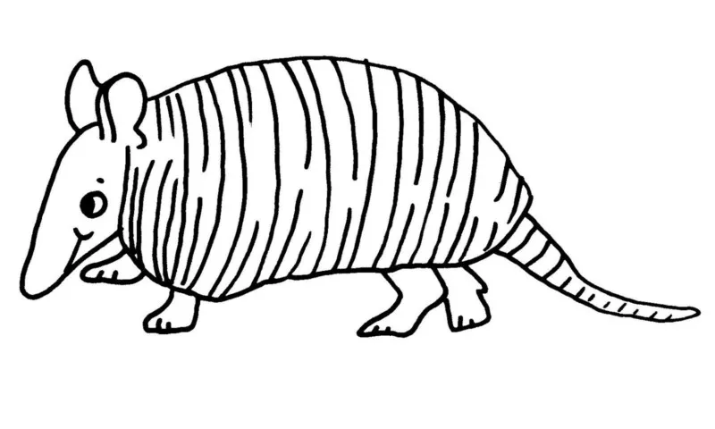 Tatu