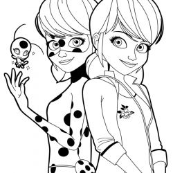 Ladybug