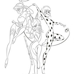Ladybug