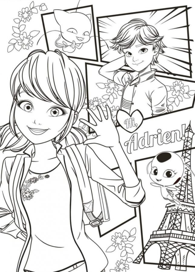 Ladybug