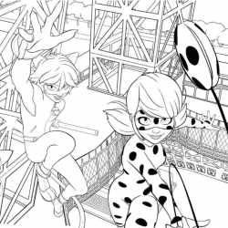 Ladybug