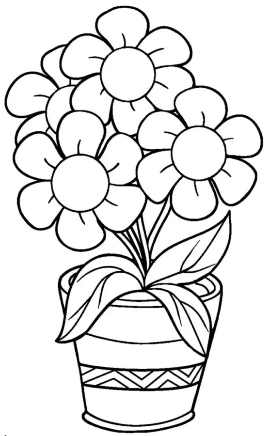 Flores